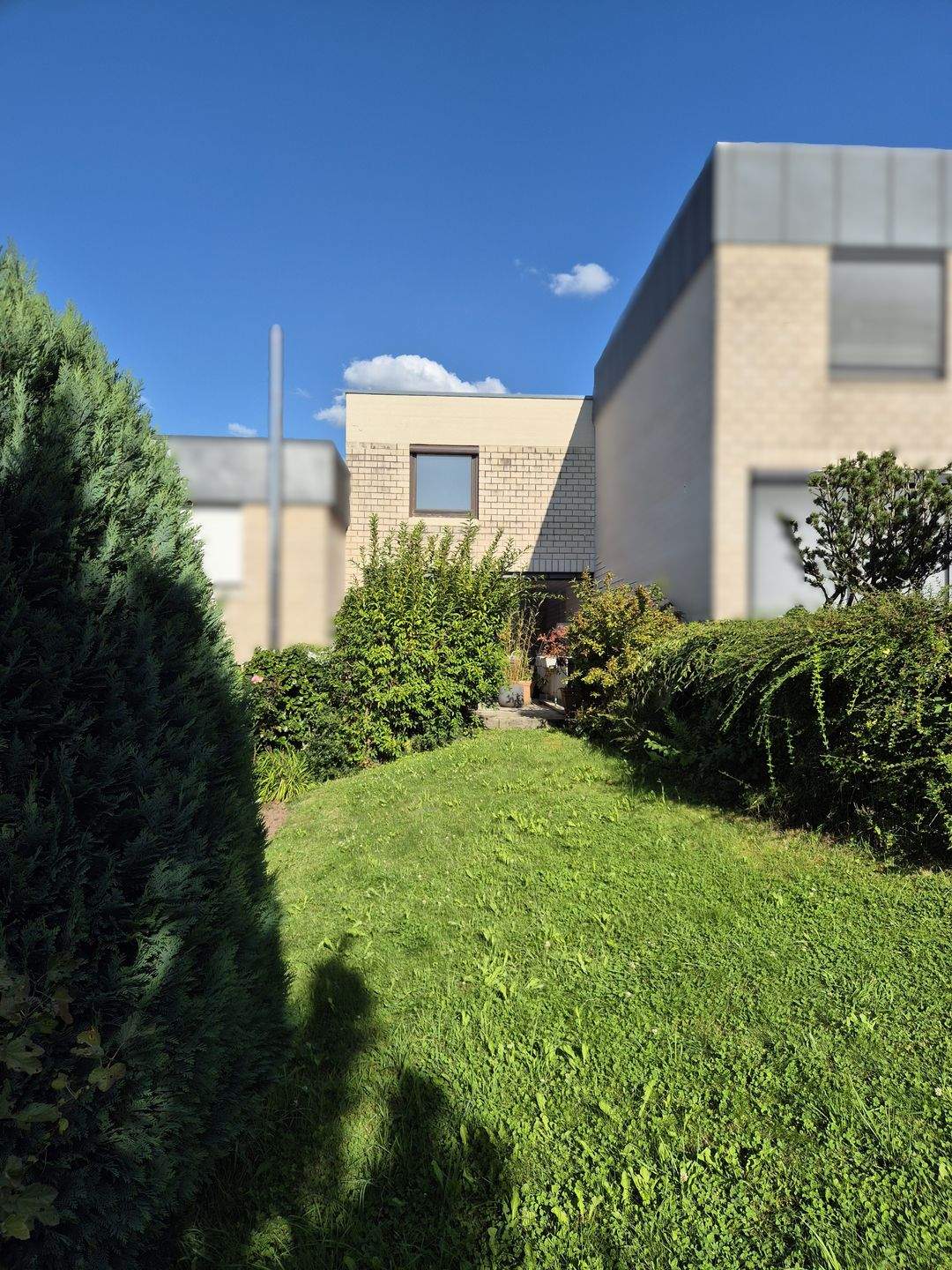 Moderne Architektur I Garten & Terrasse I Ausbaureserve – Trier – Vorschaubild 7