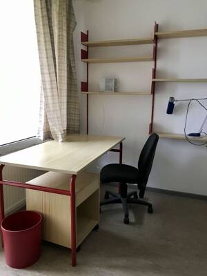 Freies Zimmer in 3er Mädels-WG - Studentenappartement auf beliebter Tarforster Höhe – 54296 Trier – Vorschaubild 4