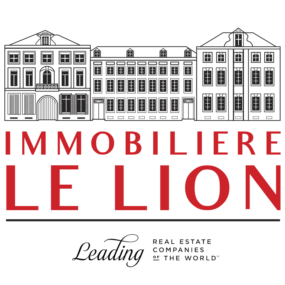 Immobilière Le Lion logo