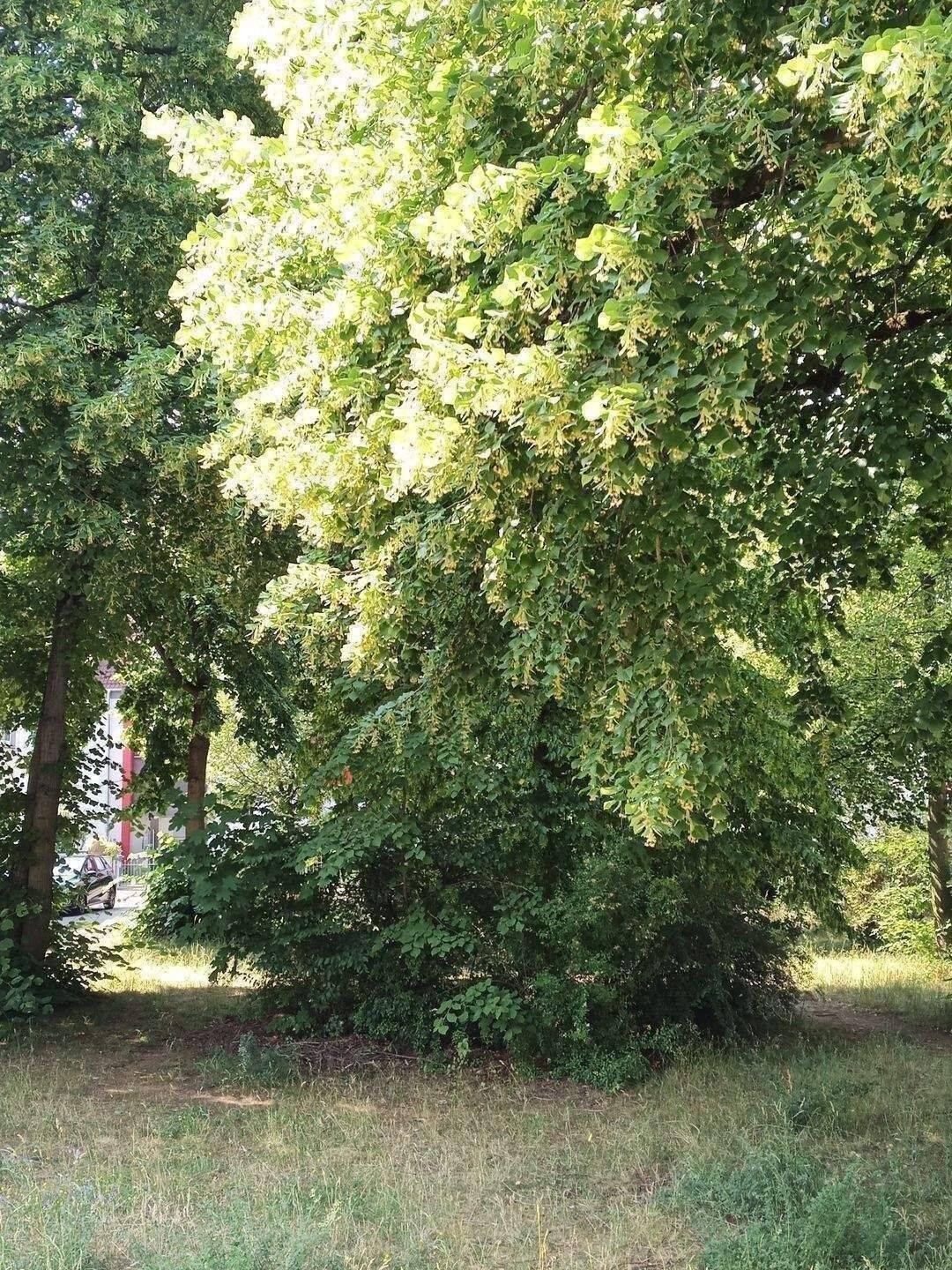 Mit Stellplatz: Moderne 3-Zimmer-Wohnung in Schweinau, Nürnberg - ideal für Singles und Paare – Nürnberg – Vorschaubild 5