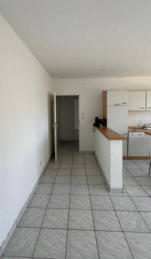 Charmante 2-Zimmer-Wohnung in Pfungstadt ab 01.11.2026 – 64319 Pfungstadt – Vorschaubild 2
