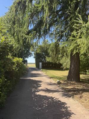 Skandinavischer Wohntraum / Wohnen und Arbeiten im Einklang mit der Natur - einzigartiges Blockaus aus Finnland ! – 38239 Salzgitter – Vorschaubild 4