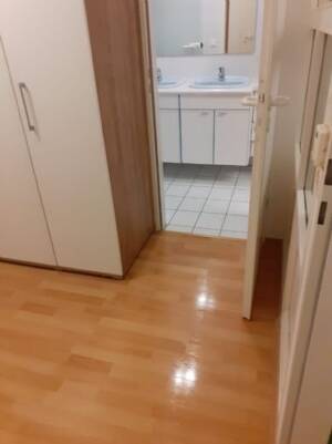 Haus mit 470 qm Wohnfläche zu vermieten – 60488 Frankfurt am Main – Vorschaubild 2