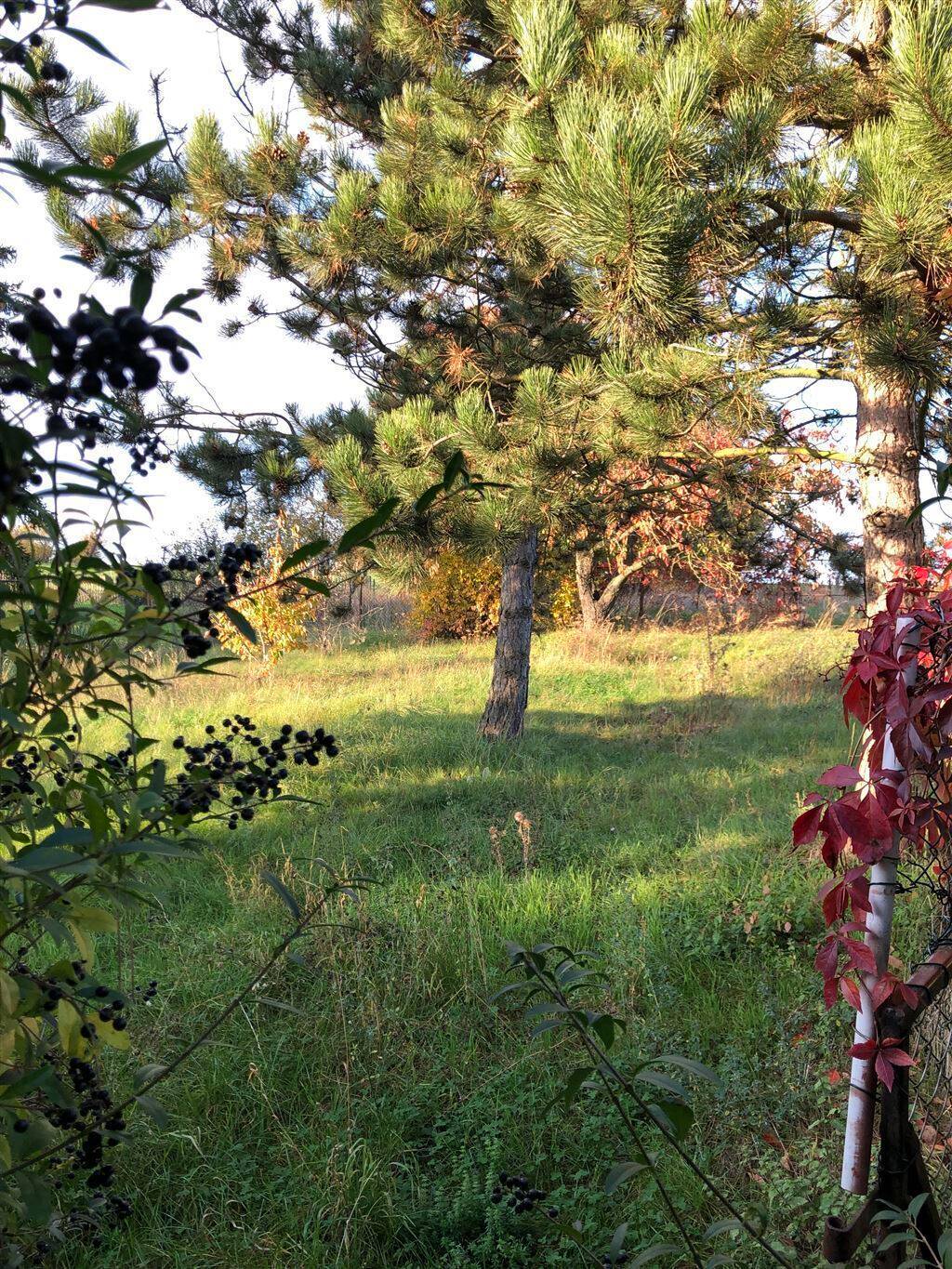 Einfamilienhaus mit ca. 1.790,00 m² großer Wiese in ländlicher Lage von Querfurt – Querfurt – Bild 1 von 9