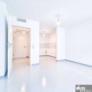 Leerstehende 1-Zimmer Wohnung mit großem Potenzial – 97080 Würzburg – Vorschaubild 4
