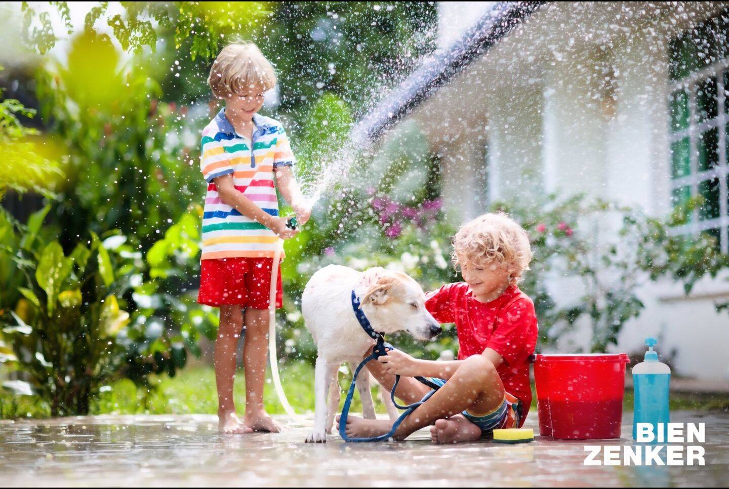 So- oder so wie Sie es sich vorstellen planen wir von BIEN ZENKER Ihr Traumhaus inkl. Bauplatz- schnell sein lohnt sich! – Holzbach – Bild 1 von 9