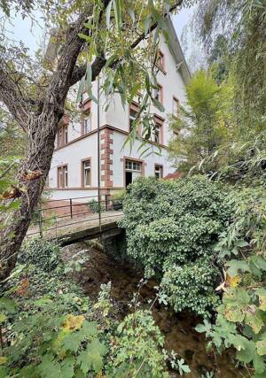Grosszügige 1,5-Zi-Whg 39qm (+ ca. 30qm Grundfläche) mit Schlaf-Atelier-Spiel-Galerie + in 4-FamHs + GartenHaus + Apfelbaum-Garten – 79100 Freiburg im Breisgau – Vorschaubild 4