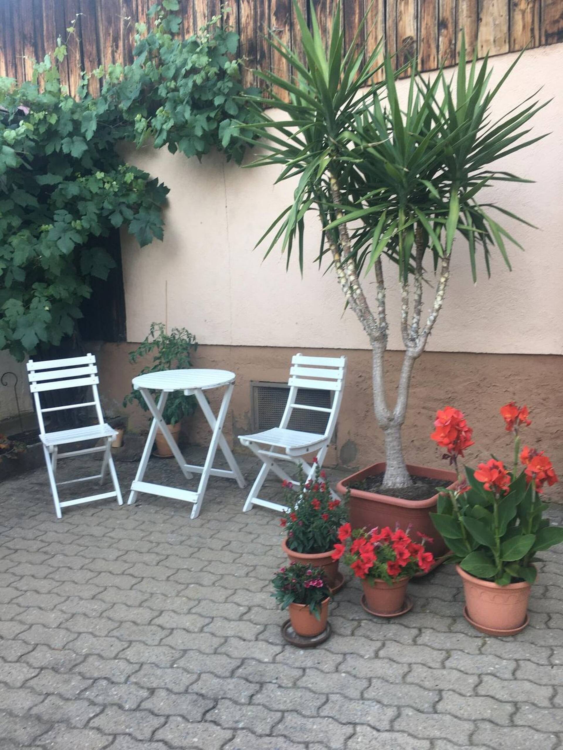 Haus in 97688 Bad Kissingen mit 260 m² kaufen