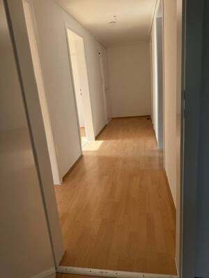 3,5 Raum Wohnung im 6-Familienhaus neu renoviert in Gelsenkirchen Schaffrath ruhige Wohnlage – 45897 Gelsenkirchen – Vorschaubild 2