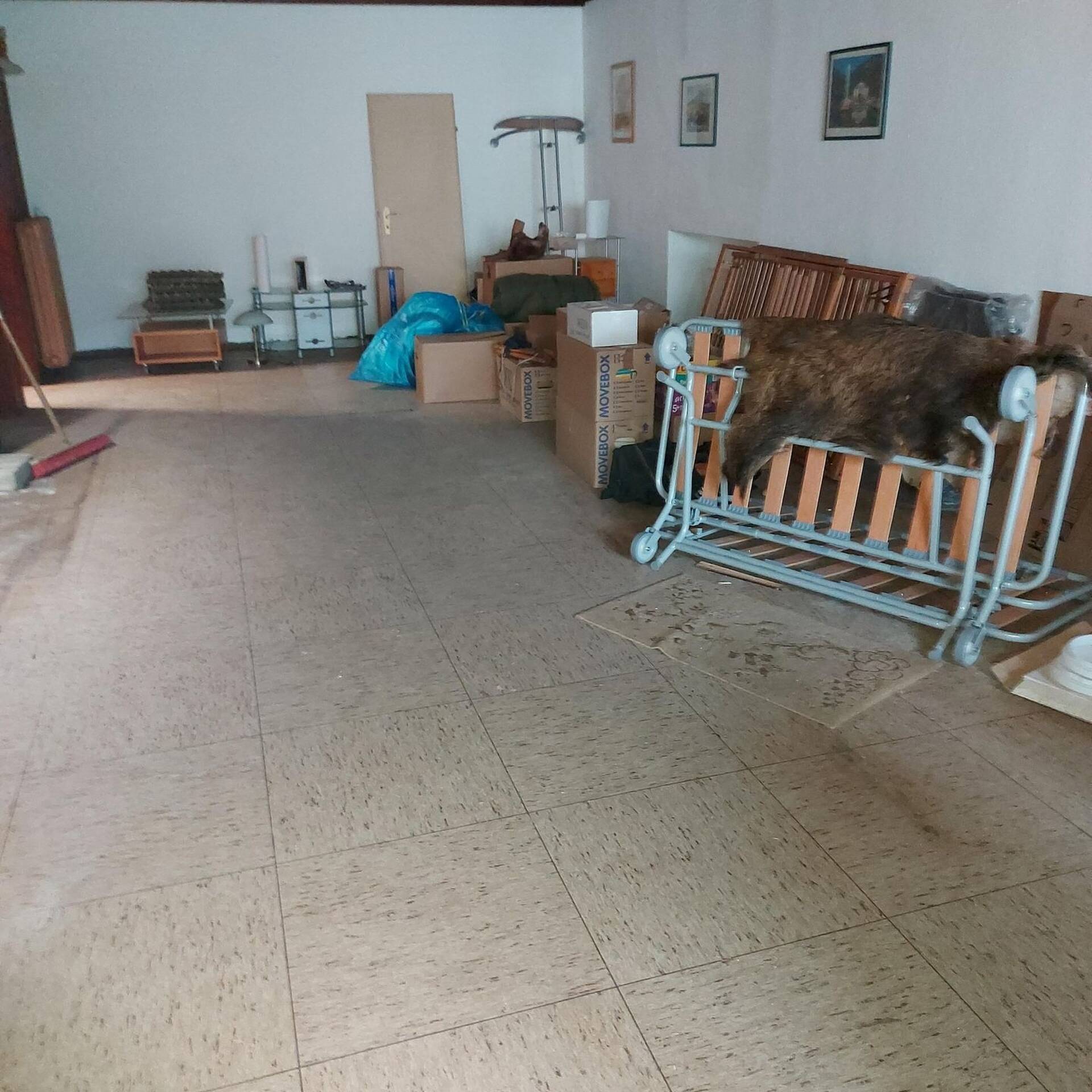 Haus in 67826 Hallgarten kaufen