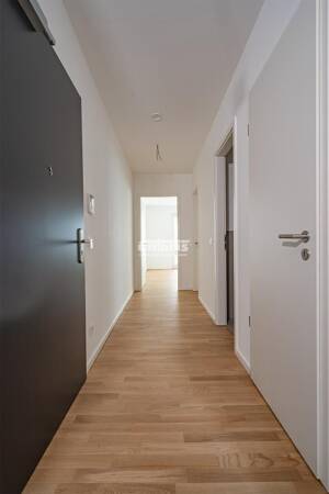 ** 3-Raum-Wohnung mit EBK, Balkon & Loggia im Herzen der Stadt ** – 1067 Dresden – Vorschaubild 5