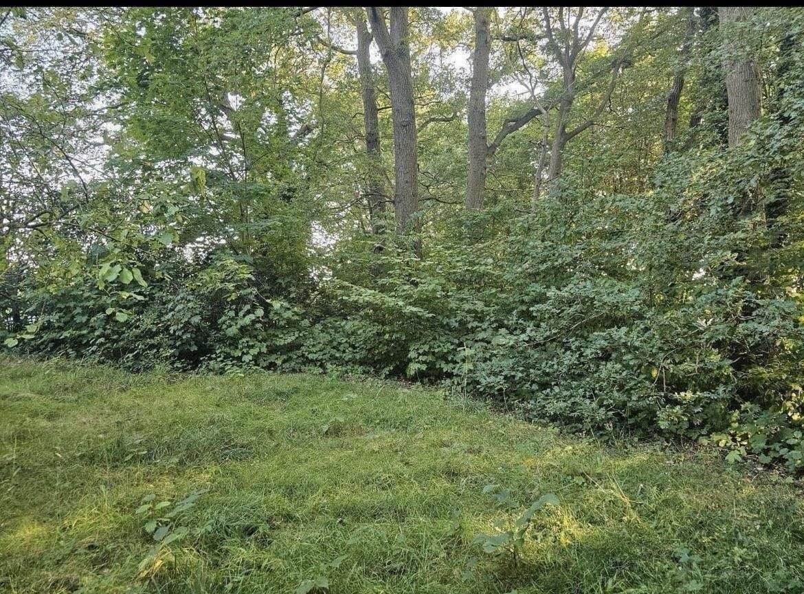 Kleineres EFH auf großem Grundstück – Vorwerk – Vorschaubild 7