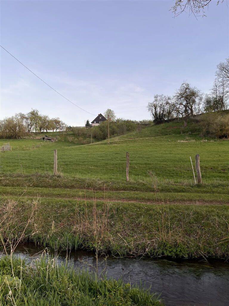 Landsitz in Alleinlage mit Weitblick - ca. 2,1 ha Anwesen in Twistetal! – Twistetal – Vorschaubild 5