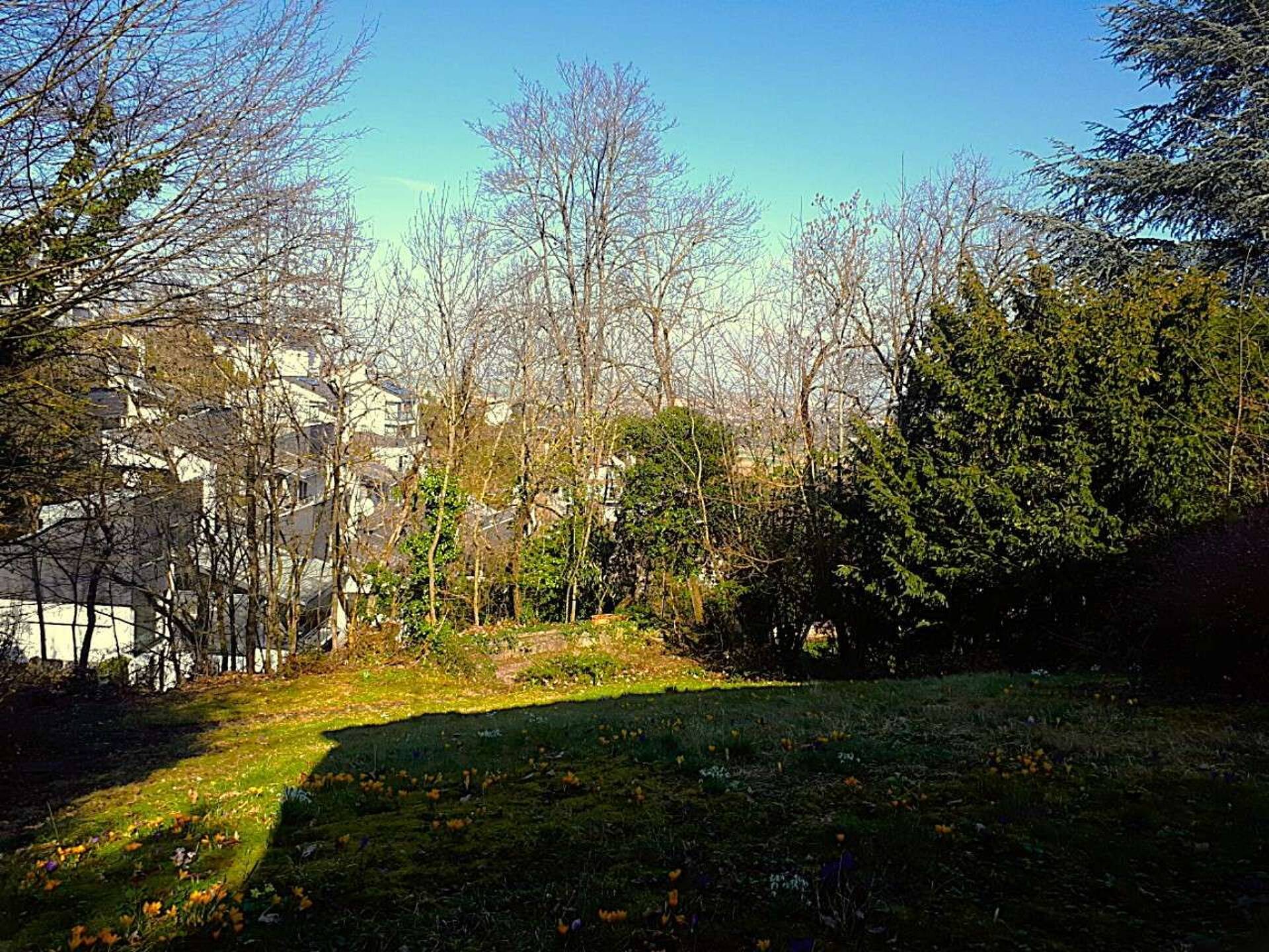 Einfamilienhaus in 71229 Leonberg mit 271 m² kaufen