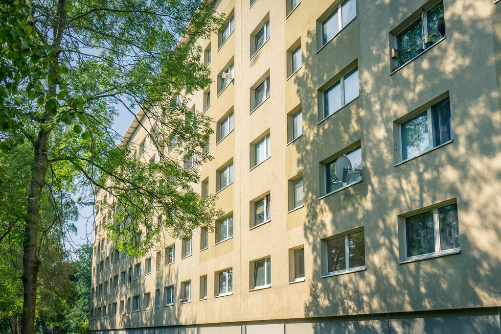 3-Raum-Wohnung nahe Stadtpark – Chemnitz – Vorschaubild 4