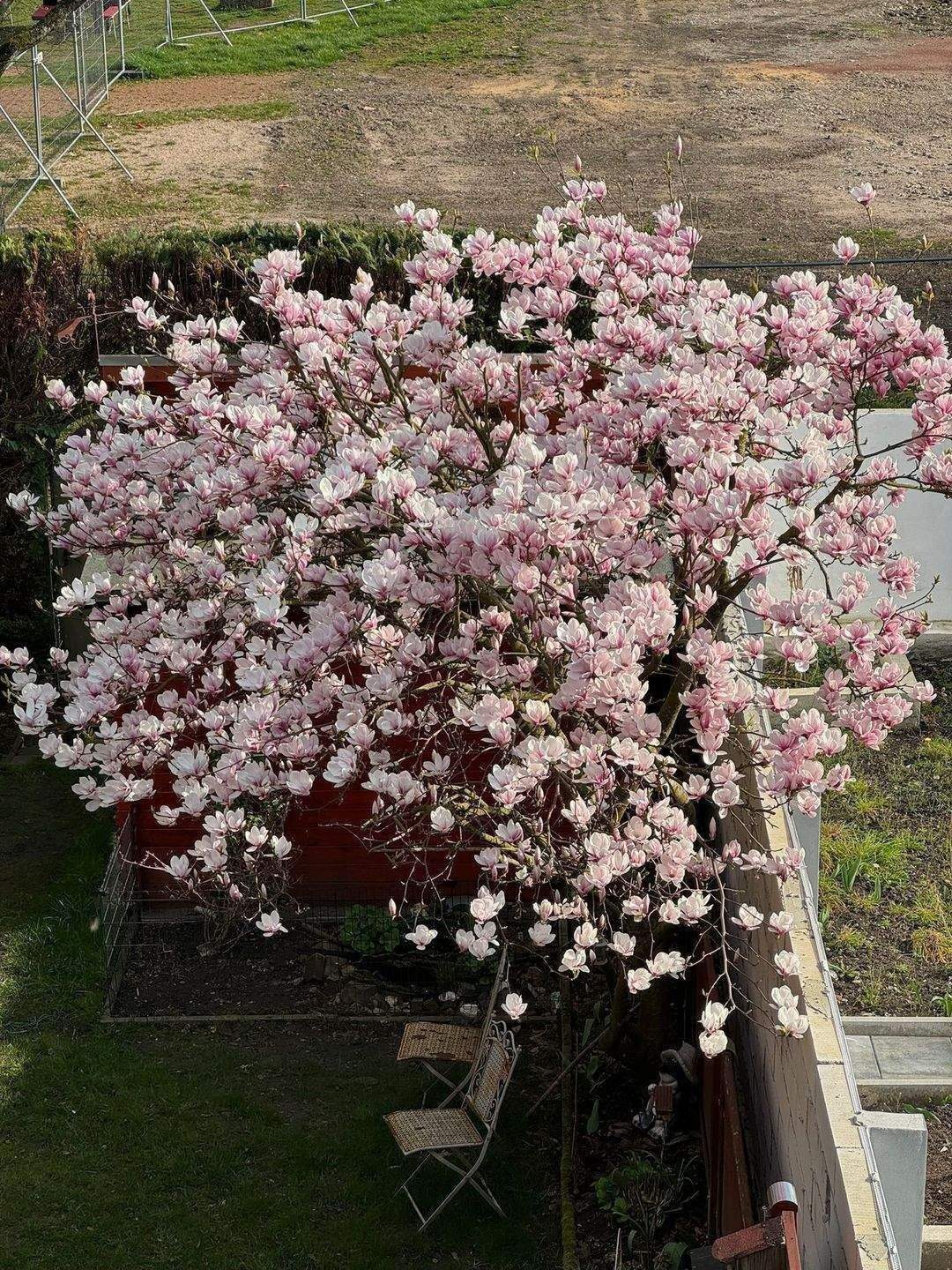 Nähe Stadtpark! Top gepflegtes 1-2 FHS mit 2 Balkonen, Terrasse und Garten zum Stadtpark, in St. Ingbert mit Zugang zur Gustav Claus Anlage – Sankt Ingbert – Vorschaubild 4