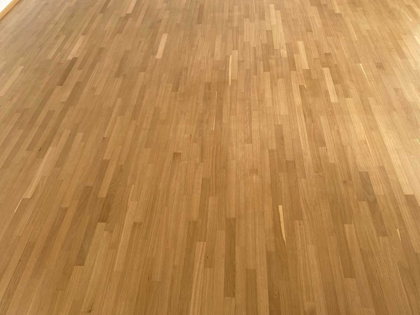 EG- Wohnung im 2FH mit Büro im Souterrain KS Nordshausen – Kassel – Vorschaubild 8