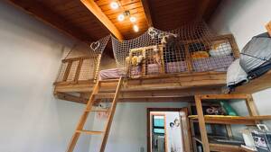 Ein Zuhause für jede Lebensphase - Einfamilienhaus im Bungalow-Stil mit wunderschönem Garten – 99090 Erfurt – Vorschaubild 9