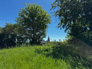 "OSTERBURGBLICK"! EFH mit Ausbau-Potential für Kreative & 3290m²-Grundstück, große Wiese, für Sport & Spiel, Kleintierhaltung & Bio-Gärtner! – 7570 Weida – Vorschaubild 3
