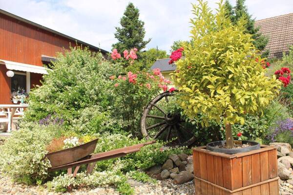 Haus in 04861 Torgau mit 154 m² kaufen