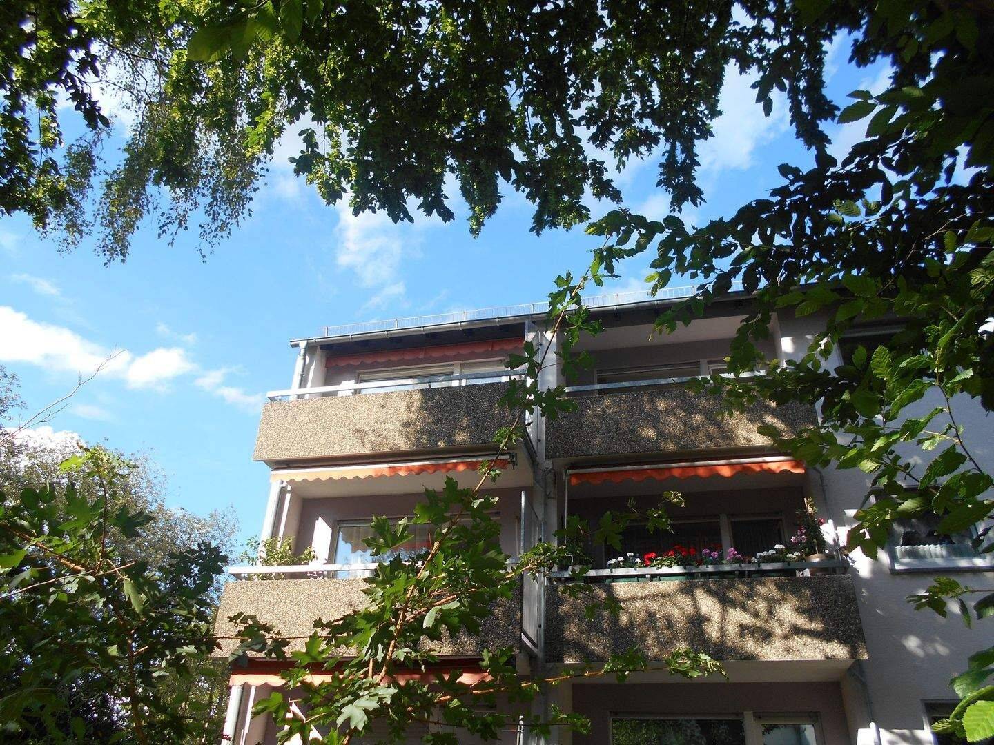 Interessante, ruhige,2 Zi.-ETW,Balkon Frankfurt-Berkershei – Frankfurt am Main – Bild 1 von 9
