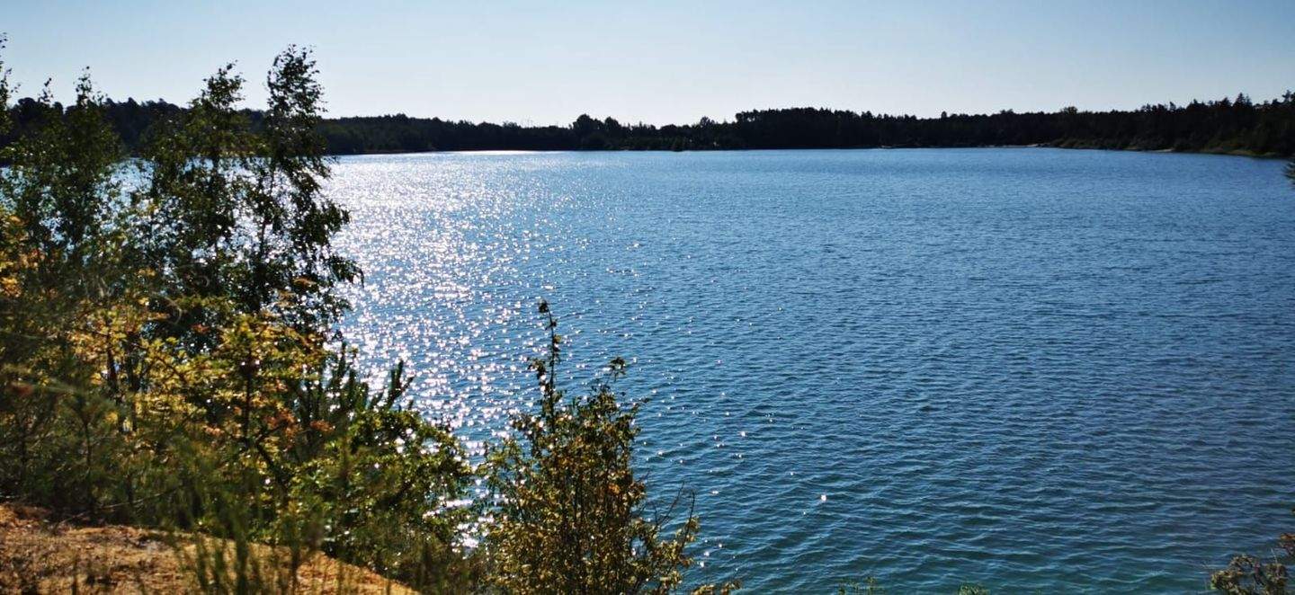 Ruhig gelegenes hübsches Haus auf großzügigem Grundstück, naturnah und am großen Zeischaer See – Bad Liebenwerda – Vorschaubild 2