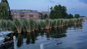 Penthouse der Extraklasse am Wasser - Ihr persönlicher Rückzugsort über den Dächern von Köpenick – 12557 Berlin – Vorschaubild 4