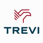 Trevi. logo