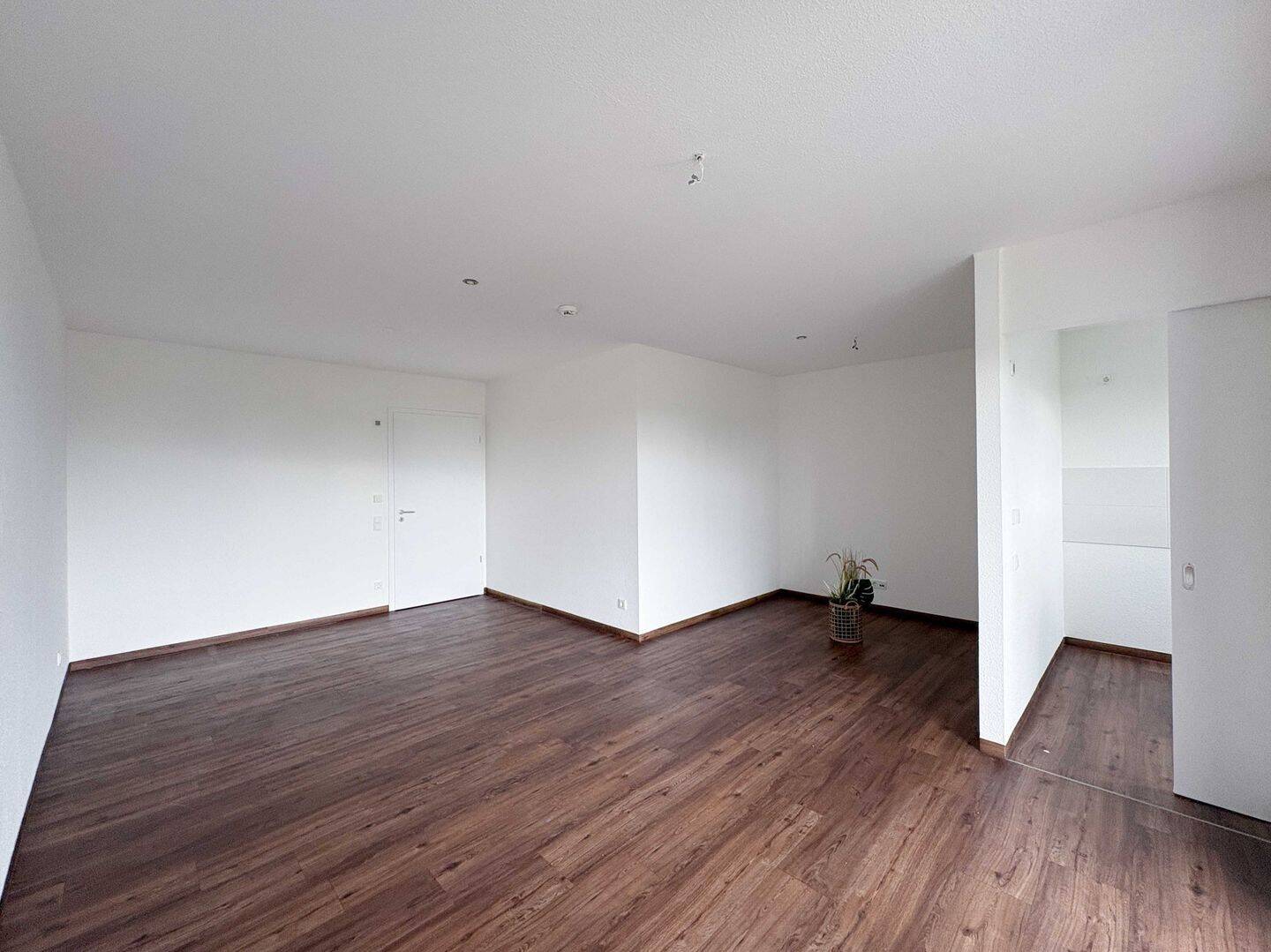 Spitzenlage mit Elbblick...perfekte Singlewohnung für Senioren – Magdeburg – Vorschaubild 8