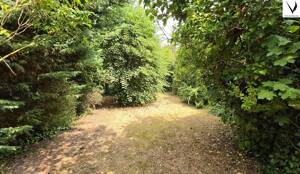 Familienglück auf einer Ebene - Bungalow mit großem, sichtgeschütztem Garten & Garage in WÜ-Heuchelhof – 97084 Würzburg – Vorschaubild 8