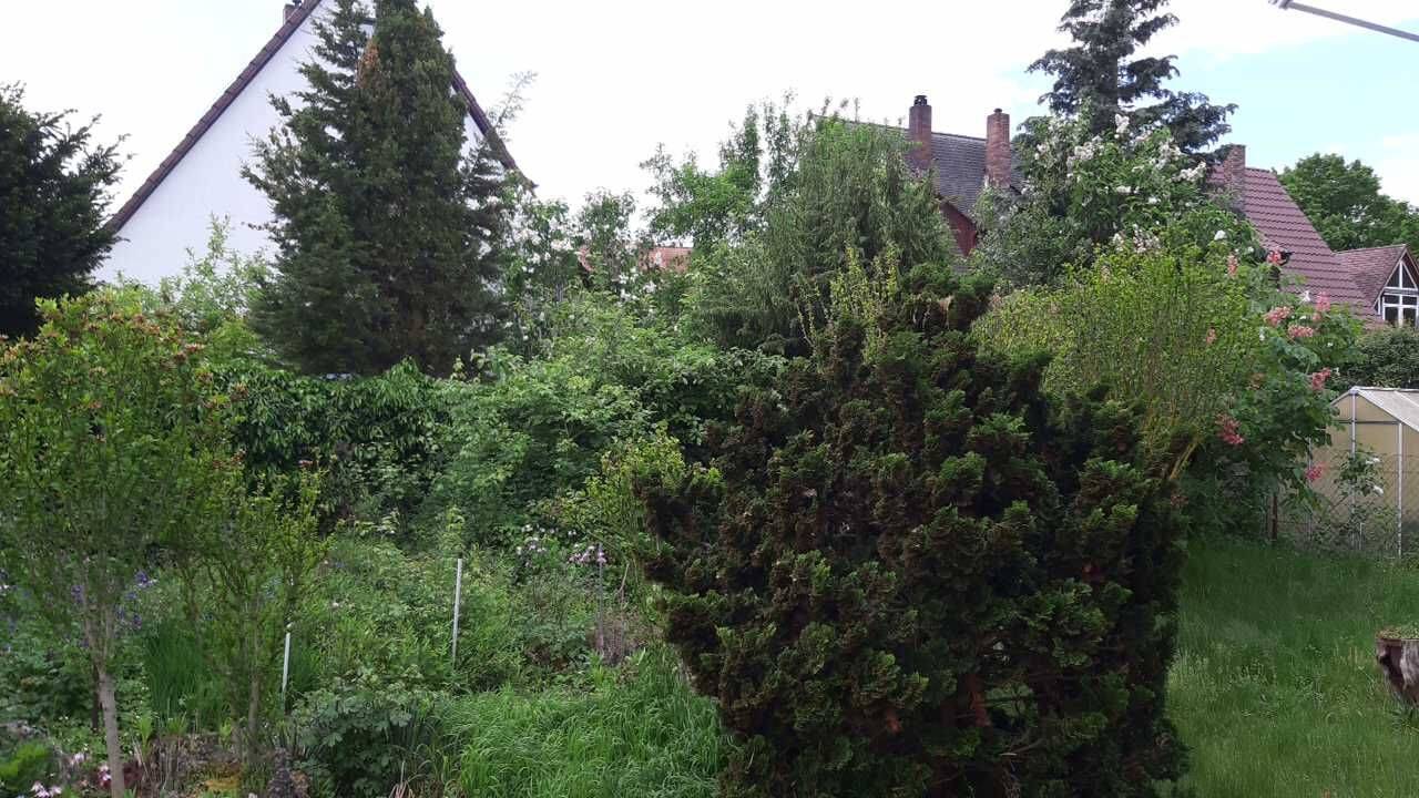 3 ZW, EG mit Garten 76qm, sehr gute Lage im Westen von Nürnberg – Nürnberg – Vorschaubild 4