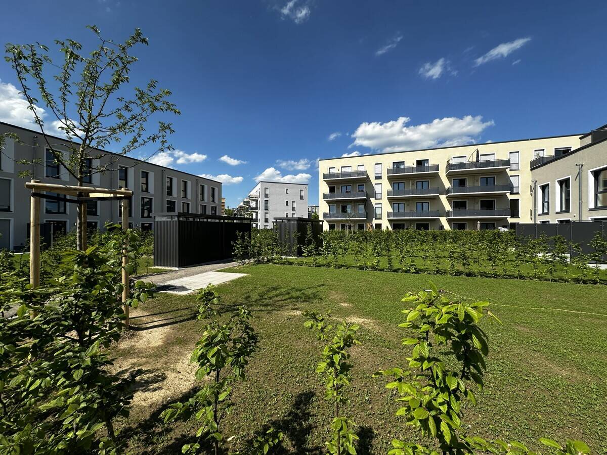 Exklusive 4-Zimmer-Neubauwohnung im Erdgeschoss - Barrierefrei mit großer Sonnenterrasse – Köln – Vorschaubild 6