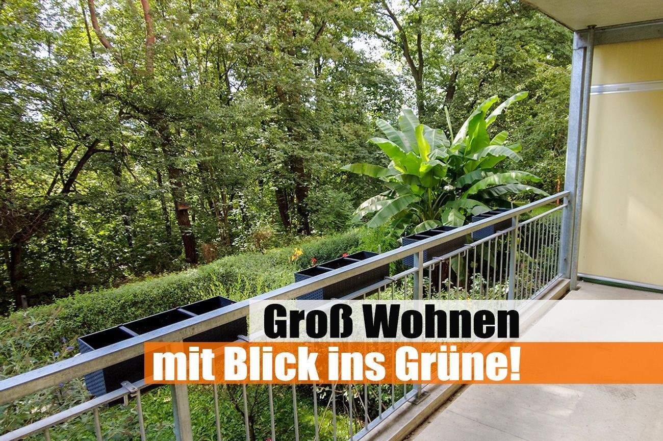 Gemütliche 2 Zimmer mit geräumigen Wohnzimmer und Küche mit Fenster - direkt am Stadtpark mit Balkon!