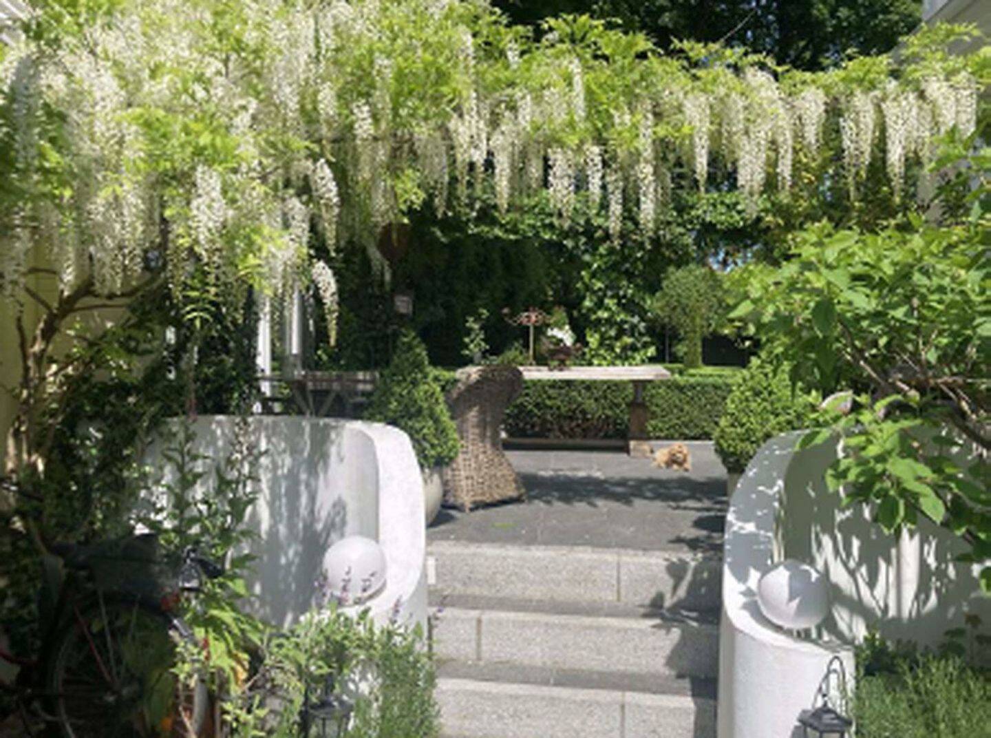 Einzigartiges Wohnensemble am See: Jugendstilvilla, 3-Zimmer-Einliegerwohnung & Wintergarten-Oase – Glückstadt – Vorschaubild 9