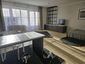 Voll möbliertes 1-Zimmer-Design-Apartment mit Balkon in Fürth – 90763 Fürth – Vorschaubild 3