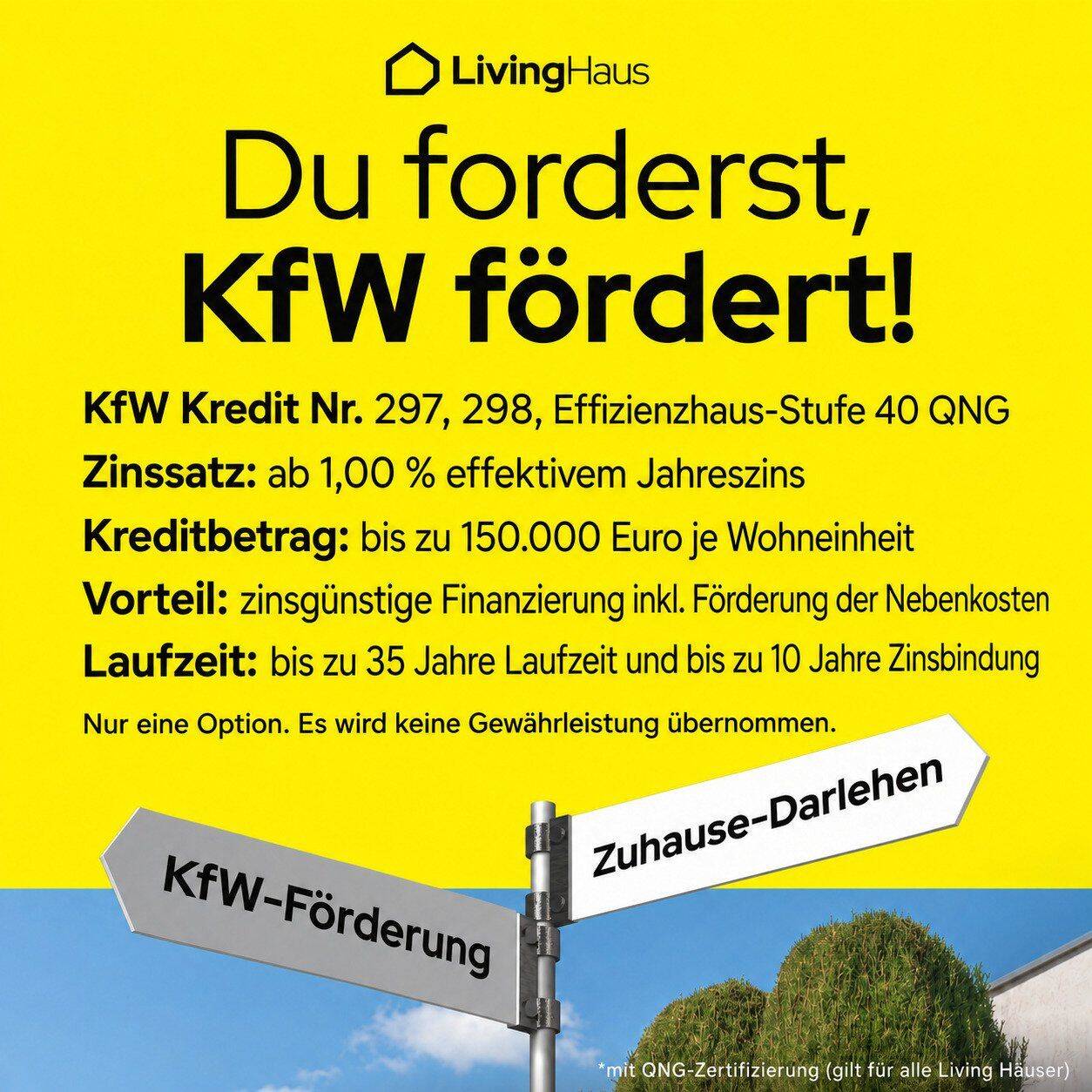Hol dir deine QNG-Förderung! Warum Geld verschenken?