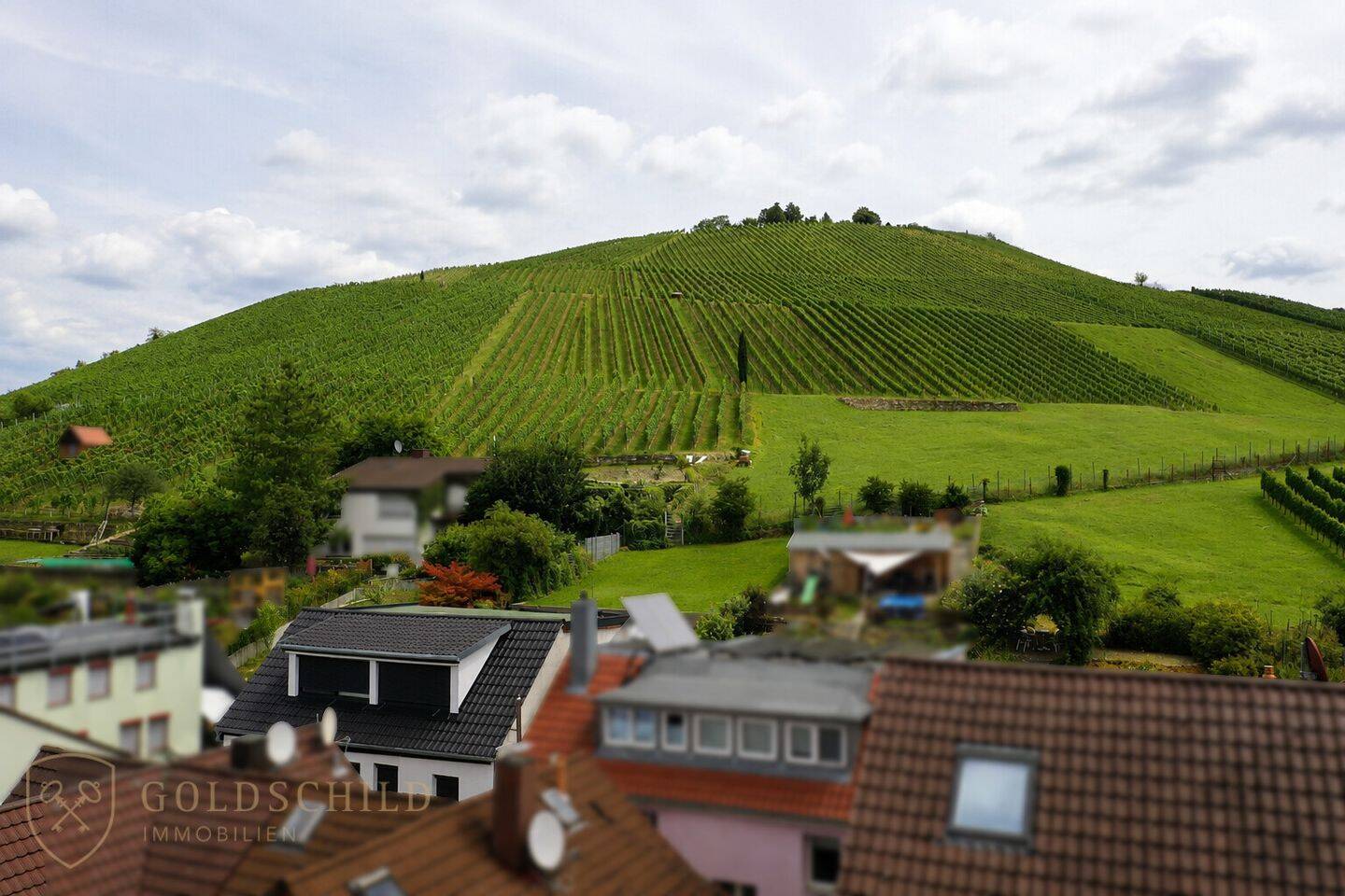 Mit der Gartentür in die Weinberge | kernsaniertes Einfamilienhaus am Fuße des Mönchbergs