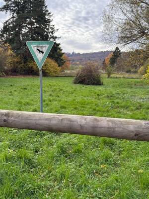 In exponierter Traumlage, 2 ZKB sonniger West Balkon, 1. OG, direkt am Naturschutzgebiet – 34130 Kassel – Vorschaubild 5