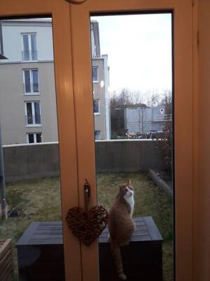 2,5 Zimmer Garten Wohnung im wiesbadener Künstlerviertel – 65197 Wiesbaden – Vorschaubild 7