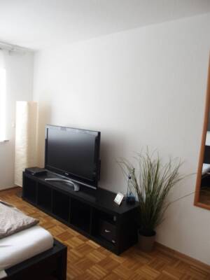 Ideal für Singles: Helle 2-Zimmer-EG-Wohnung mit eigenem Eingang - ca. 37 m² – 54295 Trier – Vorschaubild 8