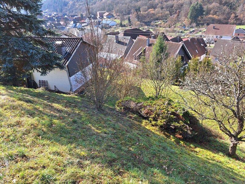 Einfamilienhaus mit großem Grundstück bietet tolle Gestaltungsmöglichkeiten – Monzingen – Vorschaubild 4