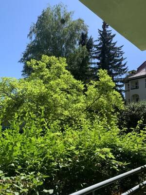Lankwitz, Musikerviertel: ruhige Balkonwohnung in grüner Umgebung – 12247 Berlin – Vorschaubild 3