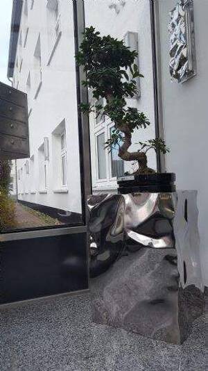 hochwertig eingerichtete Apartments in ruhiger Lage mit PKW Stellplatz - komplett möbliert und ausgestattet – 99091 Erfurt – Vorschaubild 3