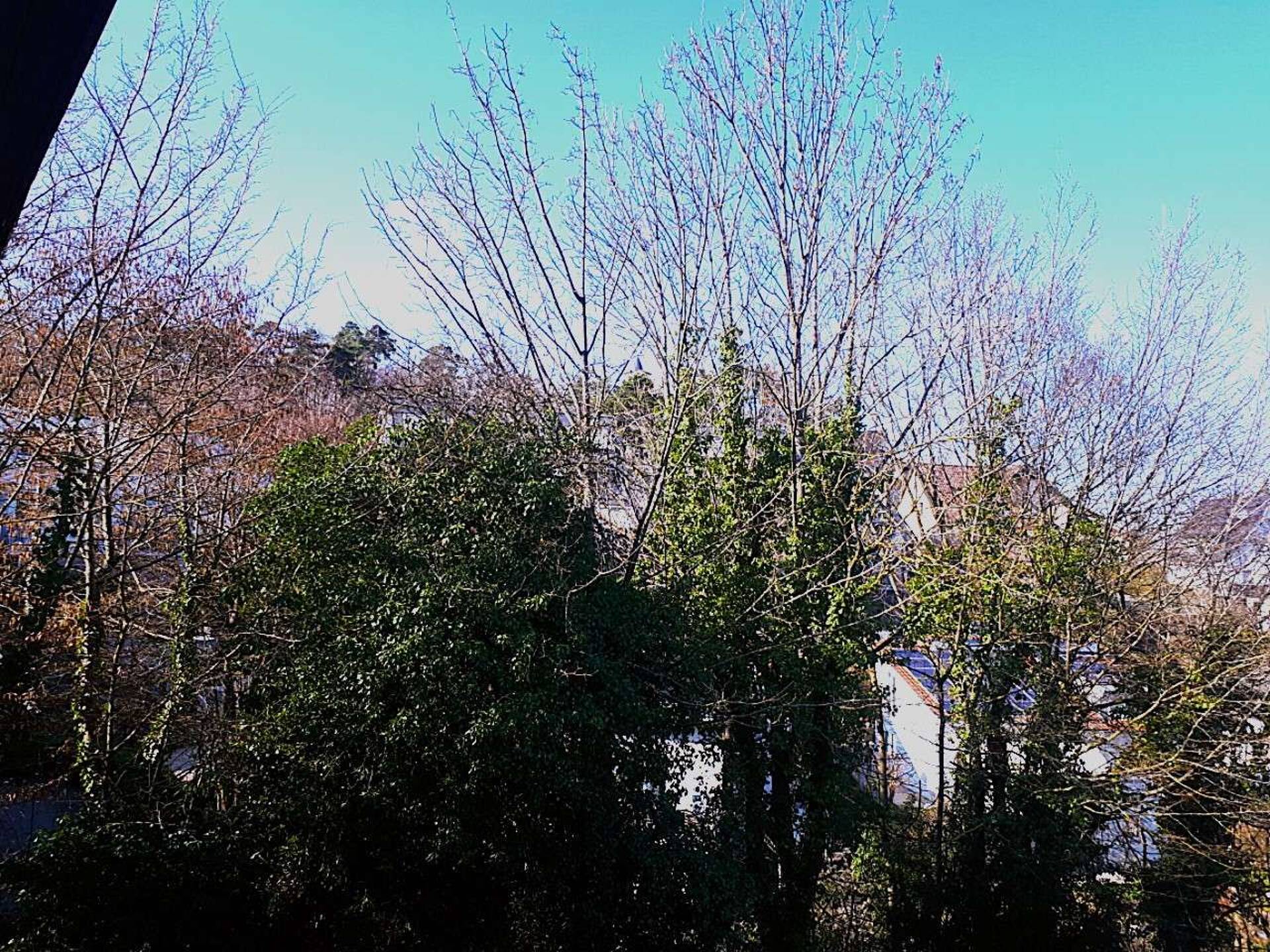 Einfamilienhaus in 71229 Leonberg mit 271 m² kaufen