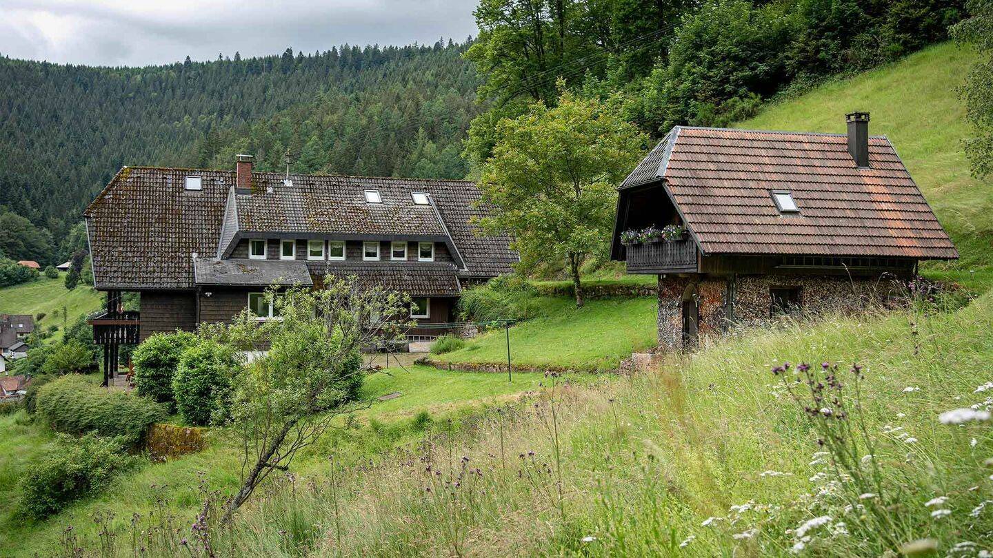 Voll möbliertes 2-Zimmer-Apartment mit großem Balkon und Panoramablick ins Wolftal – Bad Rippoldsau-Schapbach – Vorschaubild 2