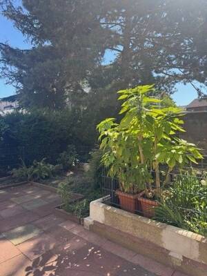 Gut aufgeteilte Erdgeschosswohnung mit Garten – 47057 Duisburg – Vorschaubild 2