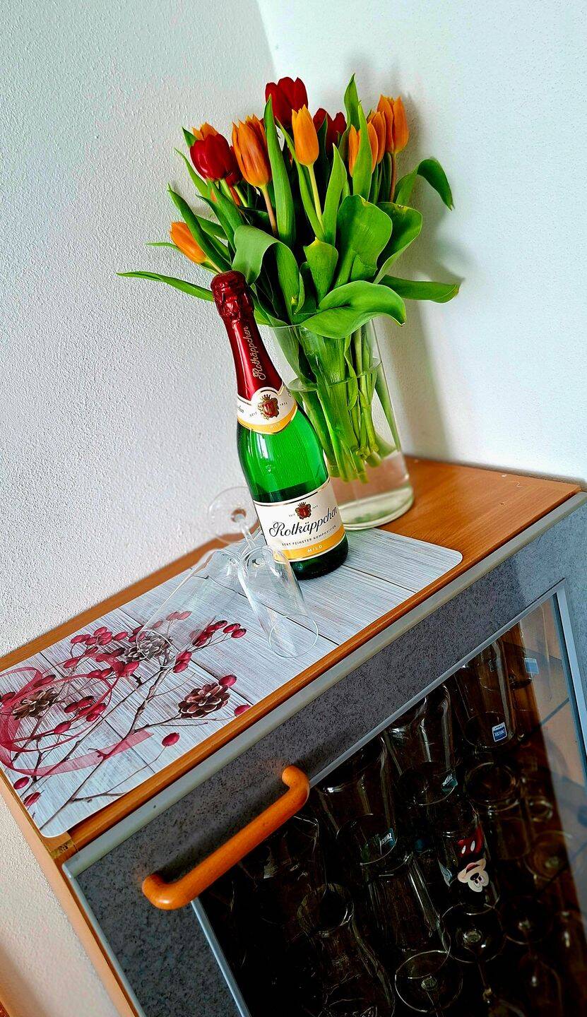 Möbelierte 1,5 Zi.-Whg. in TOP Wohnlage ! Bad mit Fenster+Wanne u.v.m. – Chemnitz – Vorschaubild 2