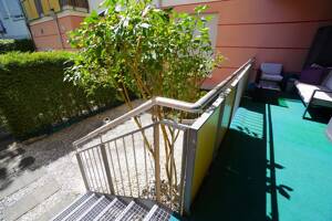 Schönes Familien-Nest in guter Lage mit kleinem Garten... – 81379 München – Vorschaubild 4