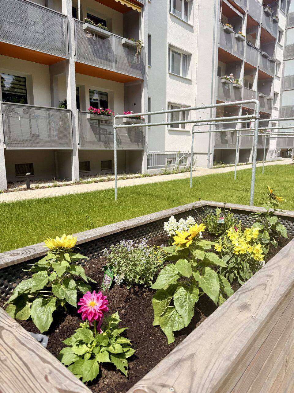 Große Dusche / Balkon / Sehr schick – Chemnitz – Vorschaubild 9