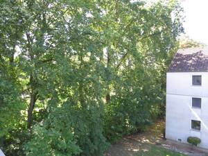 2-Zimmer-Wohnung in gepflegtem Mehrfamilienhaus - ruhig gelegen – 38120 Braunschweig – Vorschaubild 6